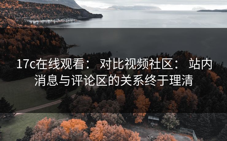17c在线观看： 对比视频社区： 站内消息与评论区的关系终于理清