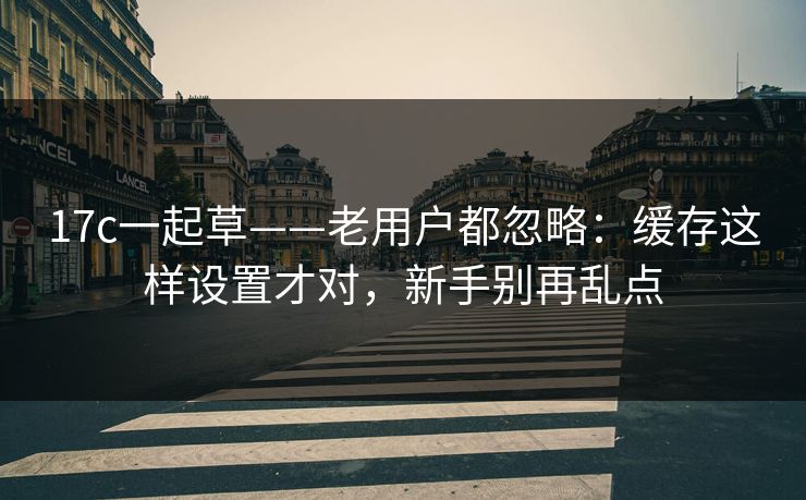 17c一起草——老用户都忽略：缓存这样设置才对，新手别再乱点