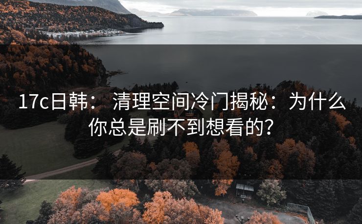 17c日韩： 清理空间冷门揭秘：为什么你总是刷不到想看的？