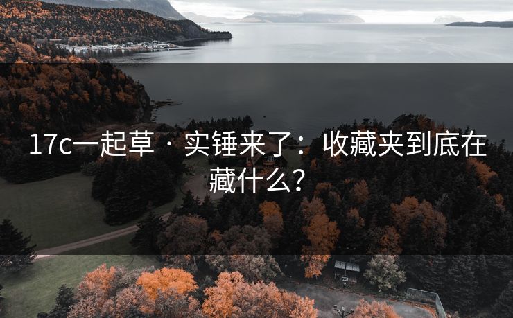 17c一起草 · 实锤来了：收藏夹到底在藏什么？