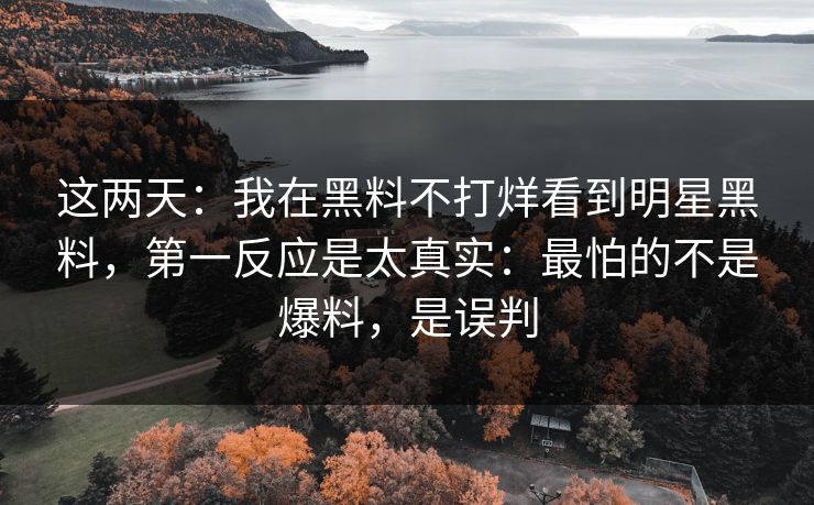 这两天：我在黑料不打烊看到明星黑料，第一反应是太真实：最怕的不是爆料，是误判